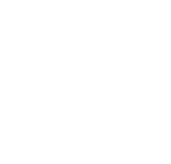 ISO & SGS Logo
