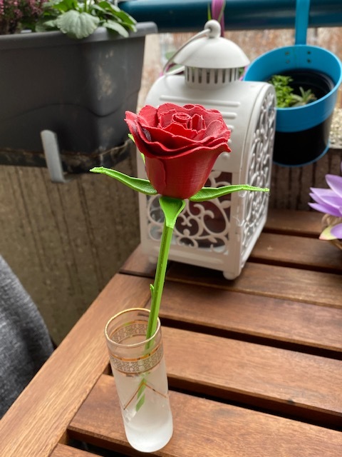 3d-printed Rose