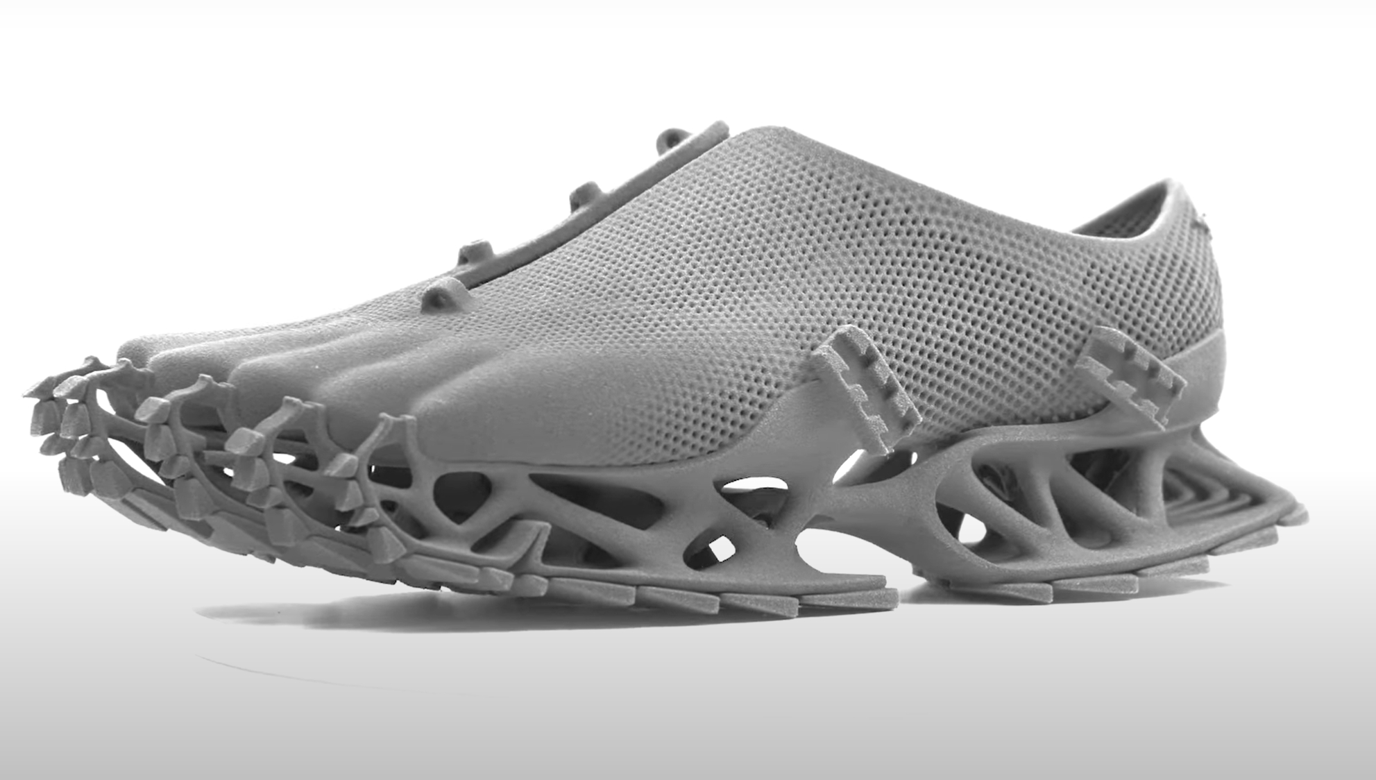 The Cryptide Sneaker